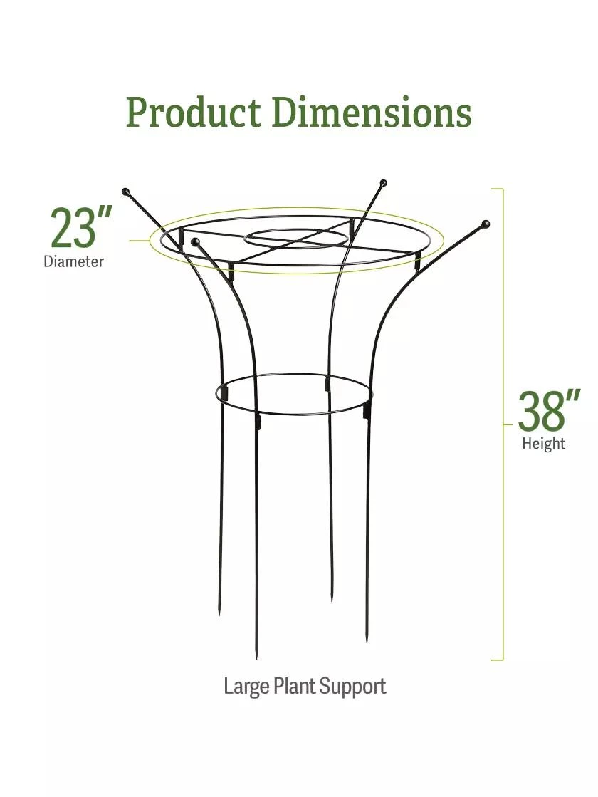 Essex Plant Supports 6 Essex Plant Supports - Image 6
