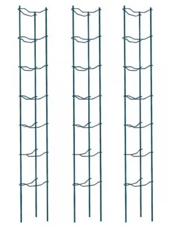 Tomato Ladders, Set Of 3 8 Tomato Ladders, Set Of 3 -Garden Tools Shop 38184 002E psd
