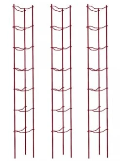Tomato Ladders, Set Of 3 9 Tomato Ladders, Set Of 3 -Garden Tools Shop 38185 002E psd