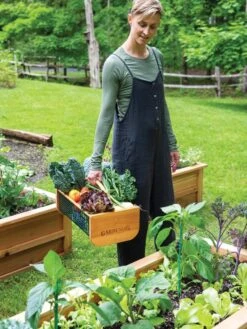 Garden Hods -Garden Tools Shop 39 761 0146 tif