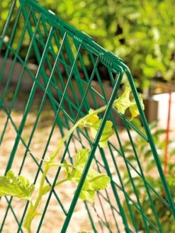Deluxe Cucumber Trellis -Garden Tools Shop 39806 GR edit tif