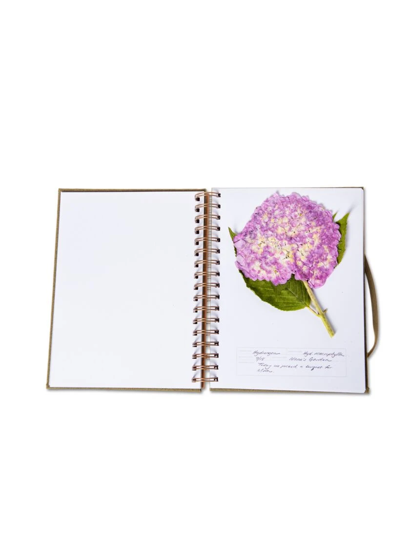 Herbarium Journal 2 Herbarium Journal - Image 2