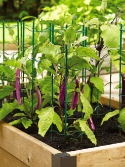 Pepper And Eggplant Stakes, Set Of 3 5 Pepper And Eggplant Stakes, Set Of 3 -Garden Tools Shop 40308 2116 tif