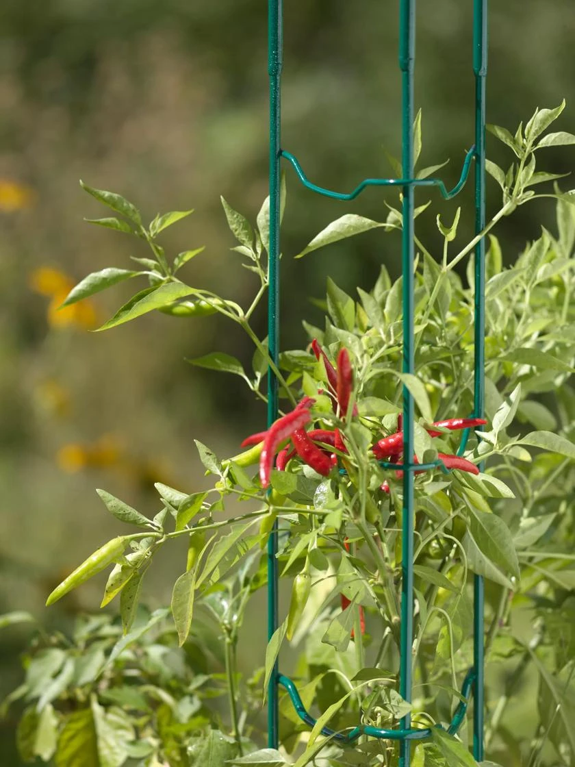 Pepper And Eggplant Stakes, Set Of 3 2 Pepper And Eggplant Stakes, Set Of 3 - Image 2