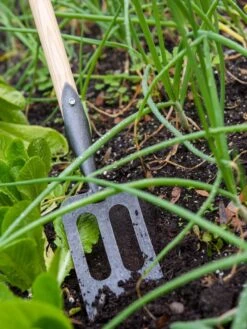 Gardener's Lifetime Spork 8 Gardener's Lifetime Spork -Garden Tools Shop 8586973 2383 tif