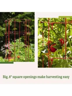 Tomato Cages, Set Of 4 -Garden Tools Shop 8587040 2