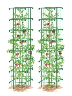 Tomato Towers, Set Of 2 -Garden Tools Shop 8587041 0006 GRN tif