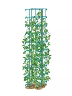 Bean Tower -Garden Tools Shop 8587060 BeanTower BLUE