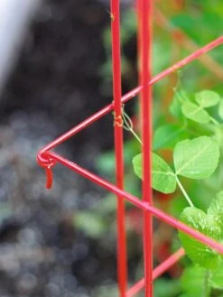 Tall Expandable Pea Trellis 7 Tall Expandable Pea Trellis -Garden Tools Shop 8587061 010 tif