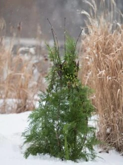 Jardin Pot Trellis 9 Jardin Pot Trellis -Garden Tools Shop 8587120 009 tif