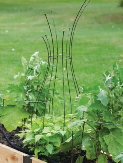 Jardin Pot Trellis 8 Jardin Pot Trellis -Garden Tools Shop 8587120 7037 tif