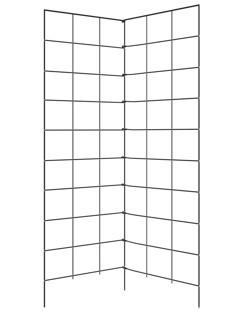 Two Panel Folding Trellis 1 Two Panel Folding Trellis