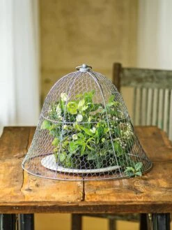 Chicken Wire Cloche -Garden Tools Shop 8590210 1 tif