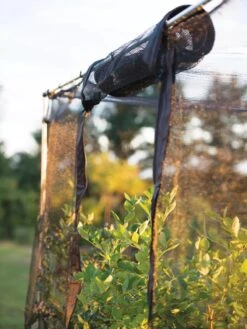 Storm Proof Crop Cage, Large 12 Storm Proof Crop Cage, Large -Garden Tools Shop 8592463 115 tif