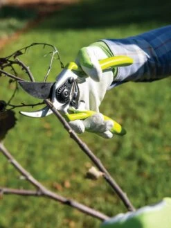Gardener's Pro Pruner #2 7 Gardener's Pro Pruner #2 -Garden Tools Shop 8596605 032 tif