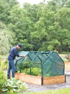 3-Season Plant Protection Tent, 4' X 8' -Garden Tools Shop 8598282 0101 tif