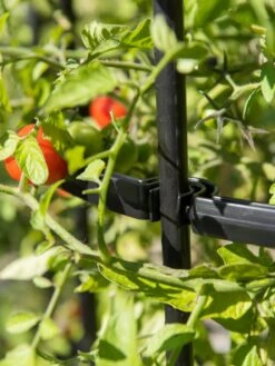 Titan Tomato Cages, Set Of 3 -Garden Tools Shop 8599861 0079 tif