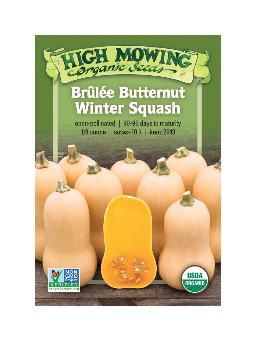 Brulee Butternut Squash Organic Seeds 1 Brulee Butternut Squash Organic Seeds