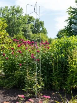 Garden Tools Shop -Garden Tools Shop 8600015 0055 tif