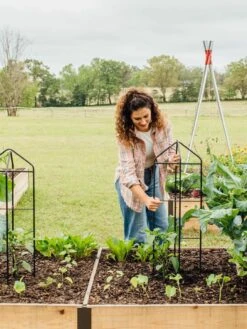 Zenith Folding Garden Supports, Set Of 2 15 Zenith Folding Garden Supports, Set Of 2 -Garden Tools Shop 8600073 324 tif