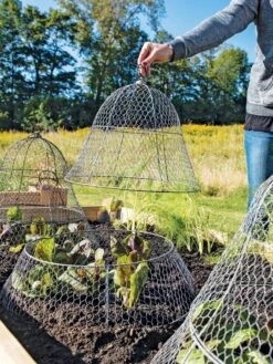 Chicken Wire Cloche With Extension -Garden Tools Shop 8600116 0604 3 4