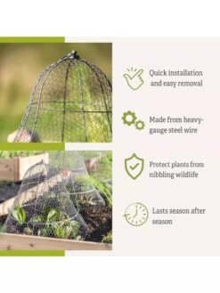Chicken Wire Cloche With Extension -Garden Tools Shop 8600116 3