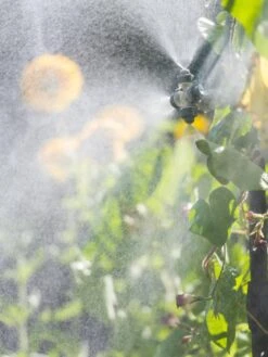 Landscape 4-Way Cooling Mist Kit, 50' -Garden Tools Shop 8600154 0695 tif