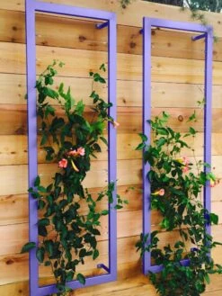 Ina Modern Wall Trellis Sr. -Garden Tools Shop 8600510 07V tif
