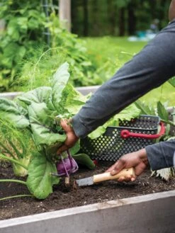 Gardener's Lifetime Hori Hori Knife -Garden Tools Shop 8608888 0422 tif