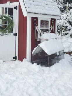 Chicken Wire Crop Coop -Garden Tools Shop 8609080 03IN tif