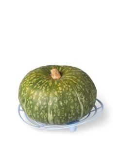 Melon And Squash Cradles, Set Of 6 -Garden Tools Shop 8609464 5204 tif