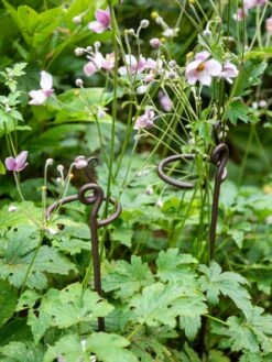 New Release 9 Arden Single Stem Supports, Set Of 2