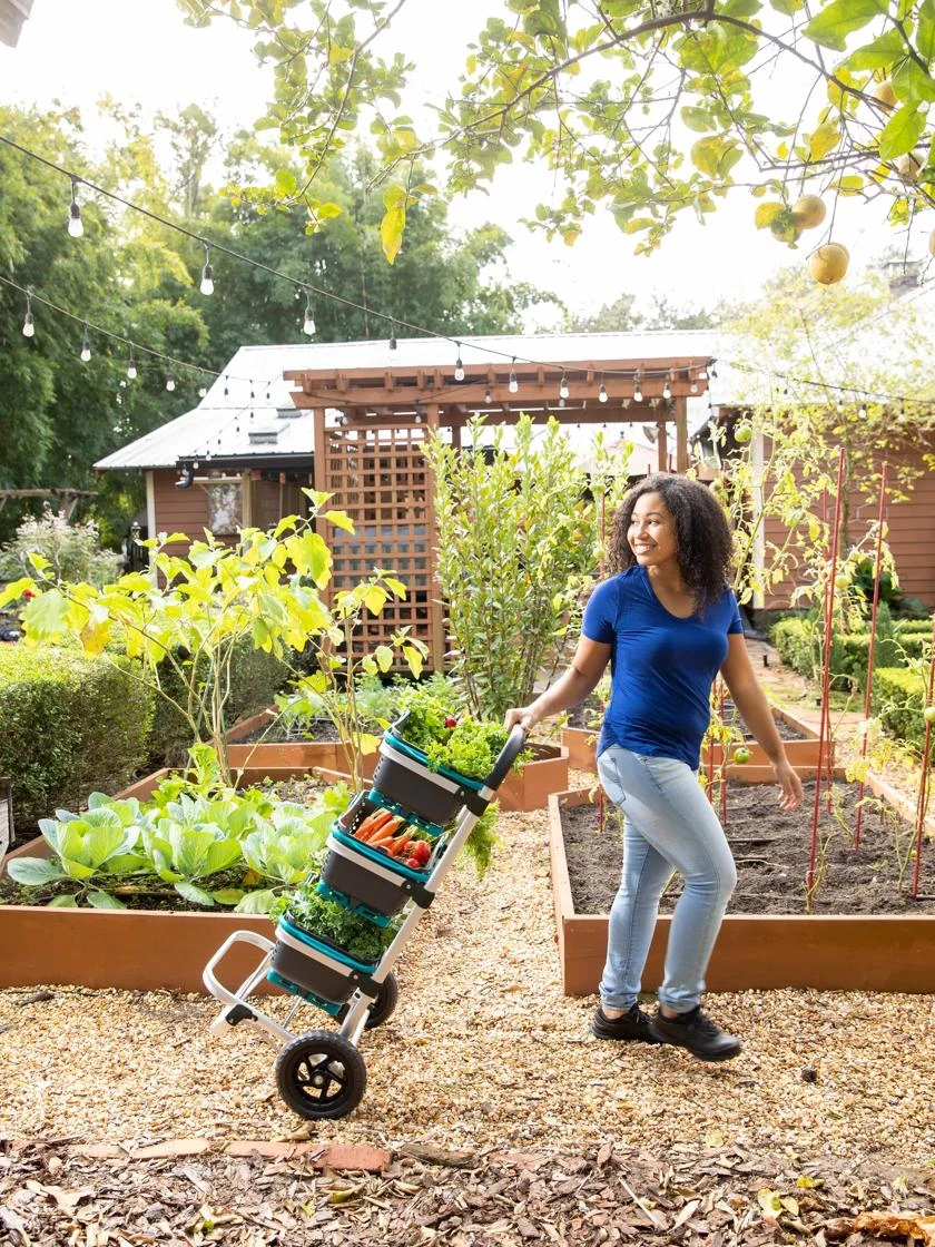 Mod Hod Trolley With Teal Mod Hods 3 Mod Hod Trolley With Teal Mod Hods - Image 3