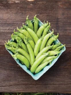 Family Garden Organic Seed Collection, Set Of 7 -Garden Tools Shop 8610262 cascadia peas 01V tif