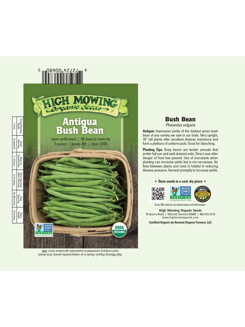 Antigua Bush Bean Organic Seeds 2 Antigua Bush Bean Organic Seeds - Image 2