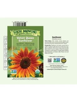 Velvet Queen Sunflower Organic Seeds 5 Velvet Queen Sunflower Organic Seeds -Garden Tools Shop 8610362 01v