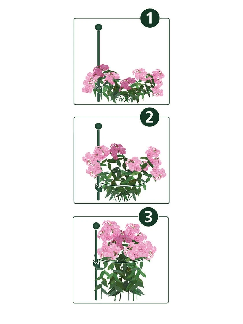 Peacock Mini Plant Support Rings 4", Set Of 2 2 Peacock Mini Plant Support Rings 4", Set Of 2 - Image 2