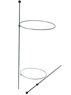 Peacock Classic Plant Support Rings 15", Set Of 2 -Garden Tools Shop 8610384 9562 tif