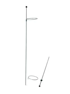 Peacock Mini Plant Support Rings 4", Set Of 2 12 Peacock Mini Plant Support Rings 4", Set Of 2 -Garden Tools Shop 8610386 9566