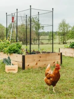 Tall Chicken Wire Critter Fence With Gate 17 Tall Chicken Wire Critter Fence With Gate -Garden Tools Shop 8611020 316 tif