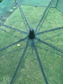 GardenSkill Pop N Crop Plant Umbrella -Garden Tools Shop 8611105 07V tif