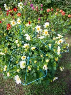 New Release -Garden Tools Shop 8611129 004 tif