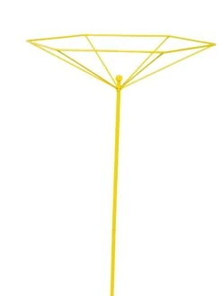 Parasol Plant Supports, Set Of 3 -Garden Tools Shop 8611129 3844 tif