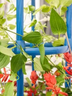 Fleur De Lis Obelisk, 67" -Garden Tools Shop 8611663 0607 tif