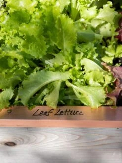 Re-Markable Raised Bed Trim 10 Re-Markable Raised Bed Trim -Garden Tools Shop 8611757 326 tif