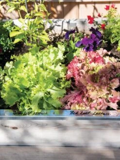 Re-Markable Raised Bed Trim 11 Re-Markable Raised Bed Trim -Garden Tools Shop 8611758 306 tif