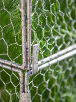 Chicken Wire Crop Coop Extension 10 Chicken Wire Crop Coop Extension -Garden Tools Shop 8611940 232 tif