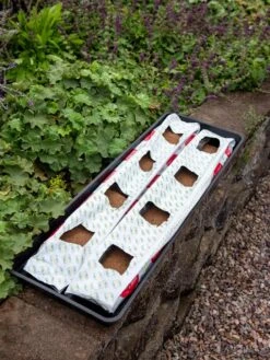 Berry Blend Coir Grow Bag, Set Of 2 -Garden Tools Shop 8611968 361 tif