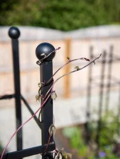 Essex Square Obelisk -Garden Tools Shop 8611984 278 tif