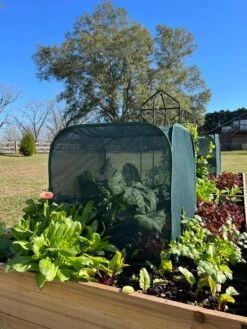 Pest Control Pop-Ups